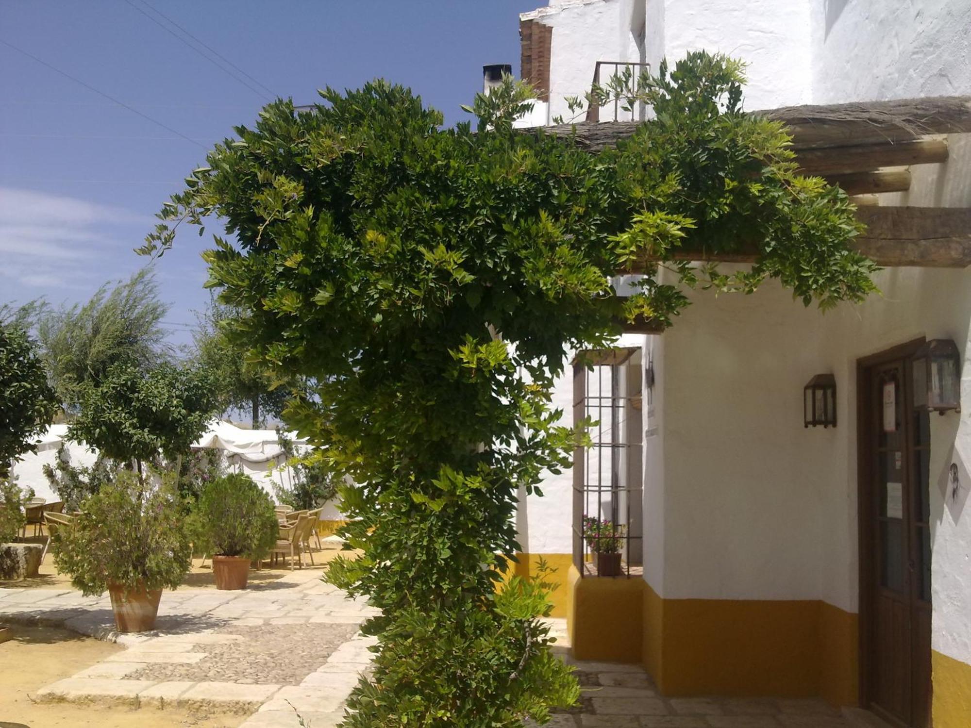 Posada De Jose Mª El Tempranillo Alameda Eksteriør bilde